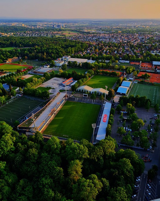 许多挑战 许多挑战