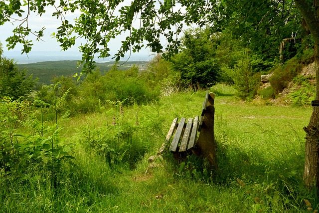 共处方式 共处方式