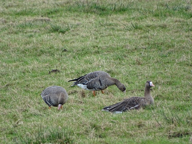 面进行深度 面进行深度