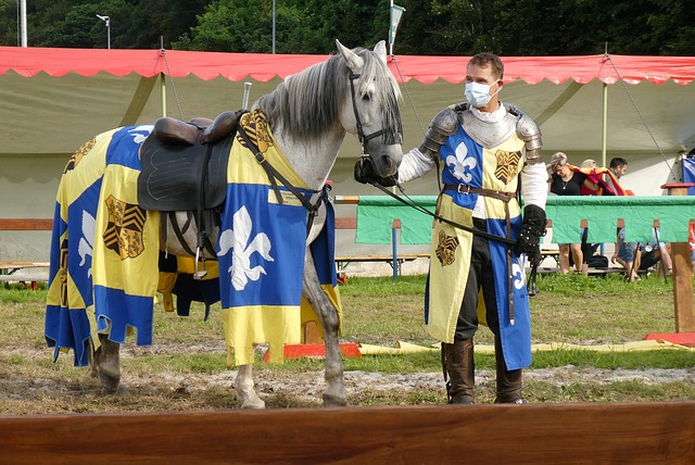 加拉格爾無 加拉格爾無