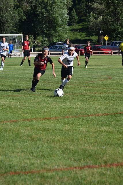 媒体人：宁波男篮将签下库亚特-诺瓦 裁掉拉科塞维奇.