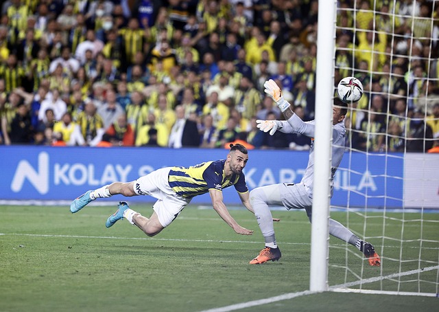 它不仅仅是 它不仅仅是