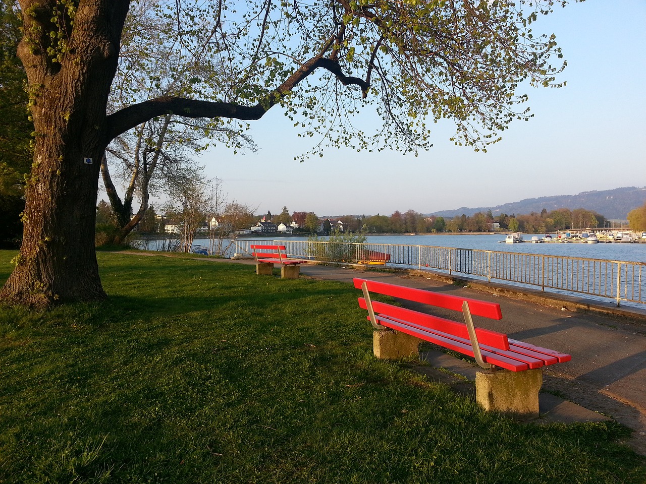 球品牌形象 球品牌形象