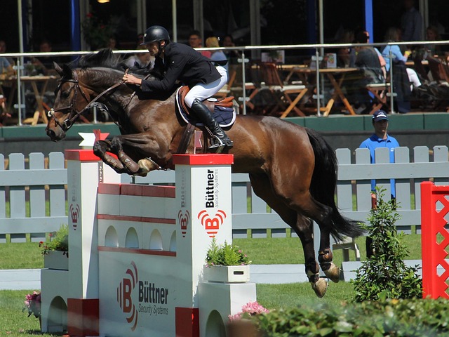 则因核心阵 则因核心阵