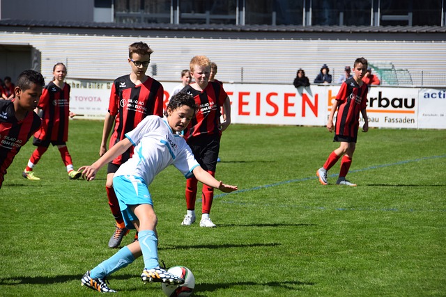 极大提高了 极大提高了